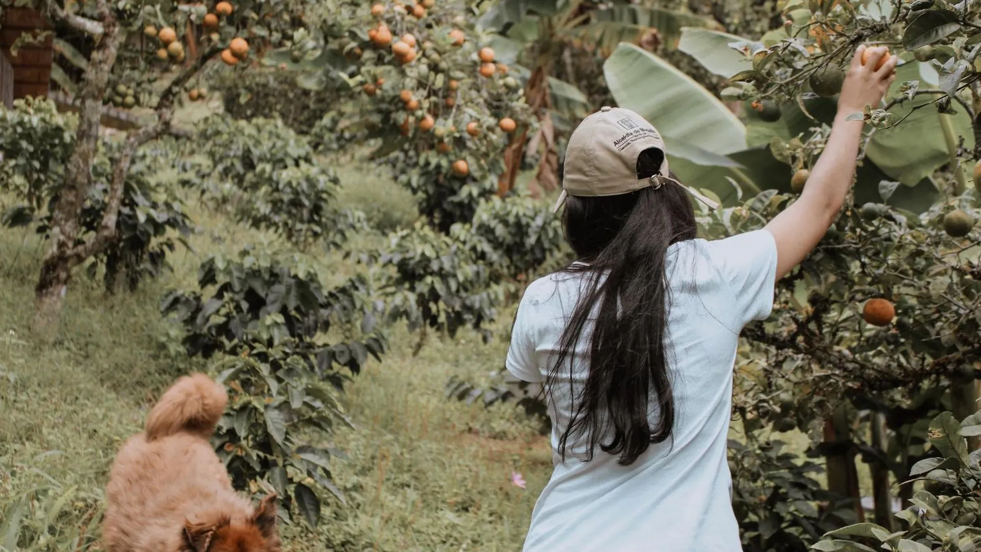 Finca El Moral Medellin Colombia