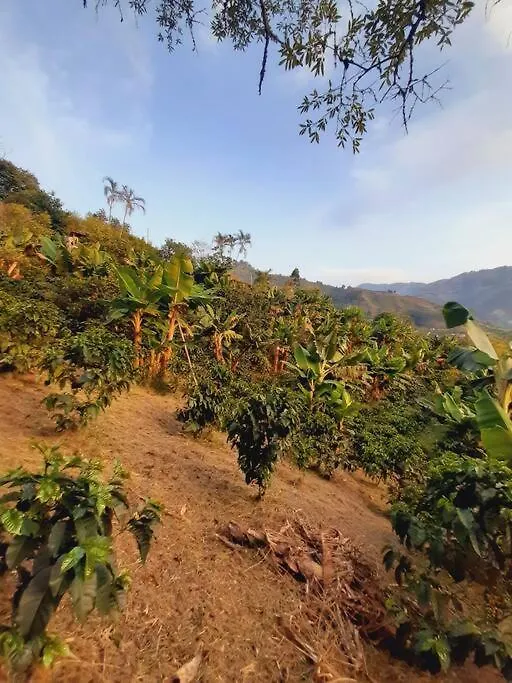 Finca El Moral Medellin 0*,
