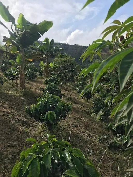 Finca El Moral Medellin Colombia